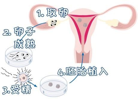 景泰胚胎实验室